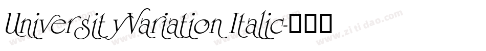 UniversityVariation Italic字体转换